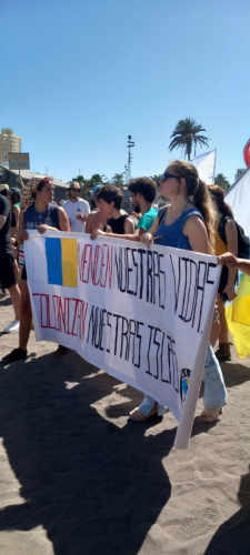 Manifestación Canarias