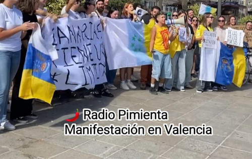 Manifestación Canarias