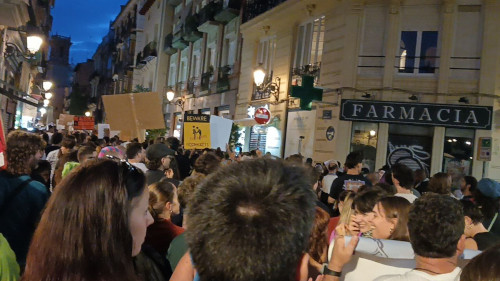 Manifestación València